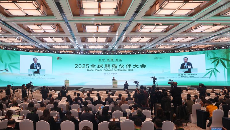 2025全球熊猫伙伴大会在蓉开幕  吕岩松施小琳刘国洪致辞